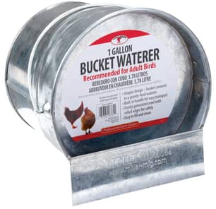 Thumbnail of the Galvanized Bucket Poultry Waterer