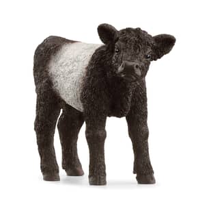 Thumbnail of the Schleich Galloway Calf