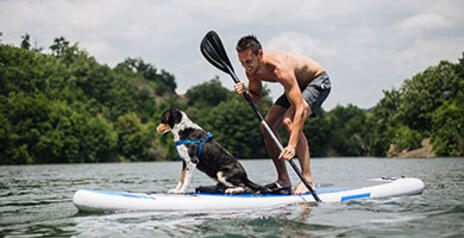 Read Article on Know How to Get Into Paddle Boarding as a Beginner 