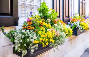 How to Create Beautiful Spring Flower Planters