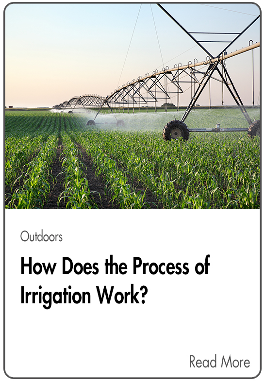 The Process of Irrigation