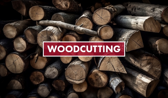 Shop all things woodcutting.