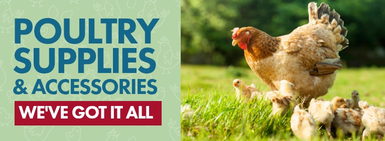 Poultry Supplies and Accessories