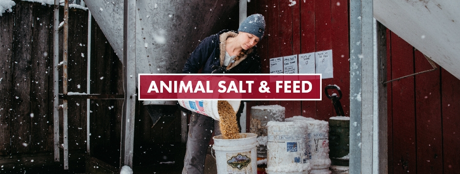 Shop animal salt and feed.
