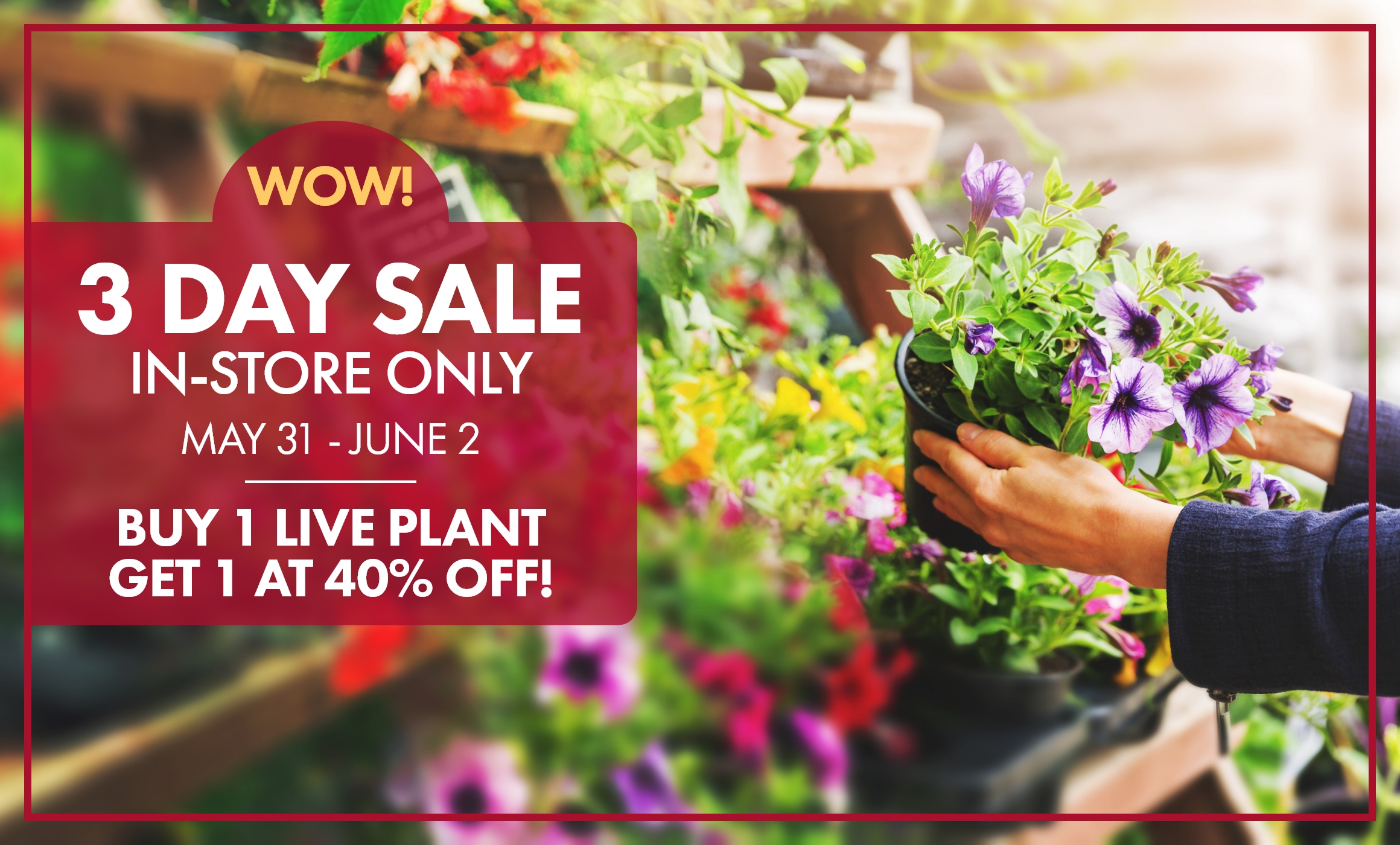 3 Days Only! Shop our in-store only plant sale.