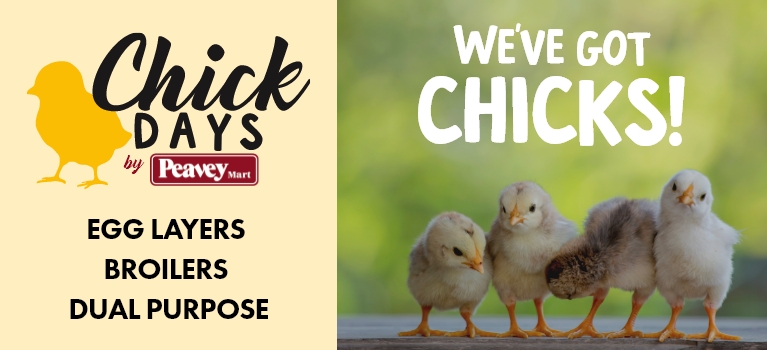 Visit ChickDays.ca