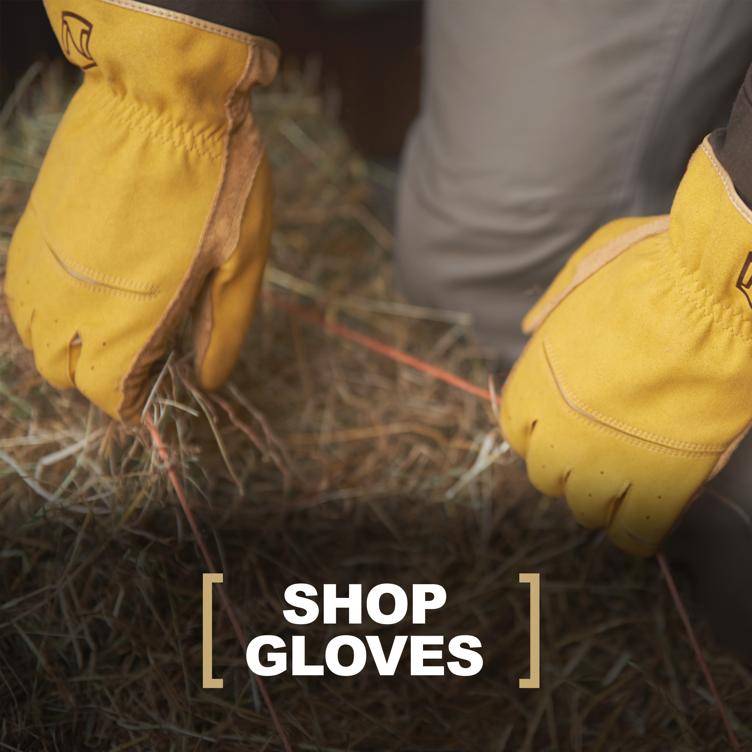 Shop Noble Outfitters® Gloves