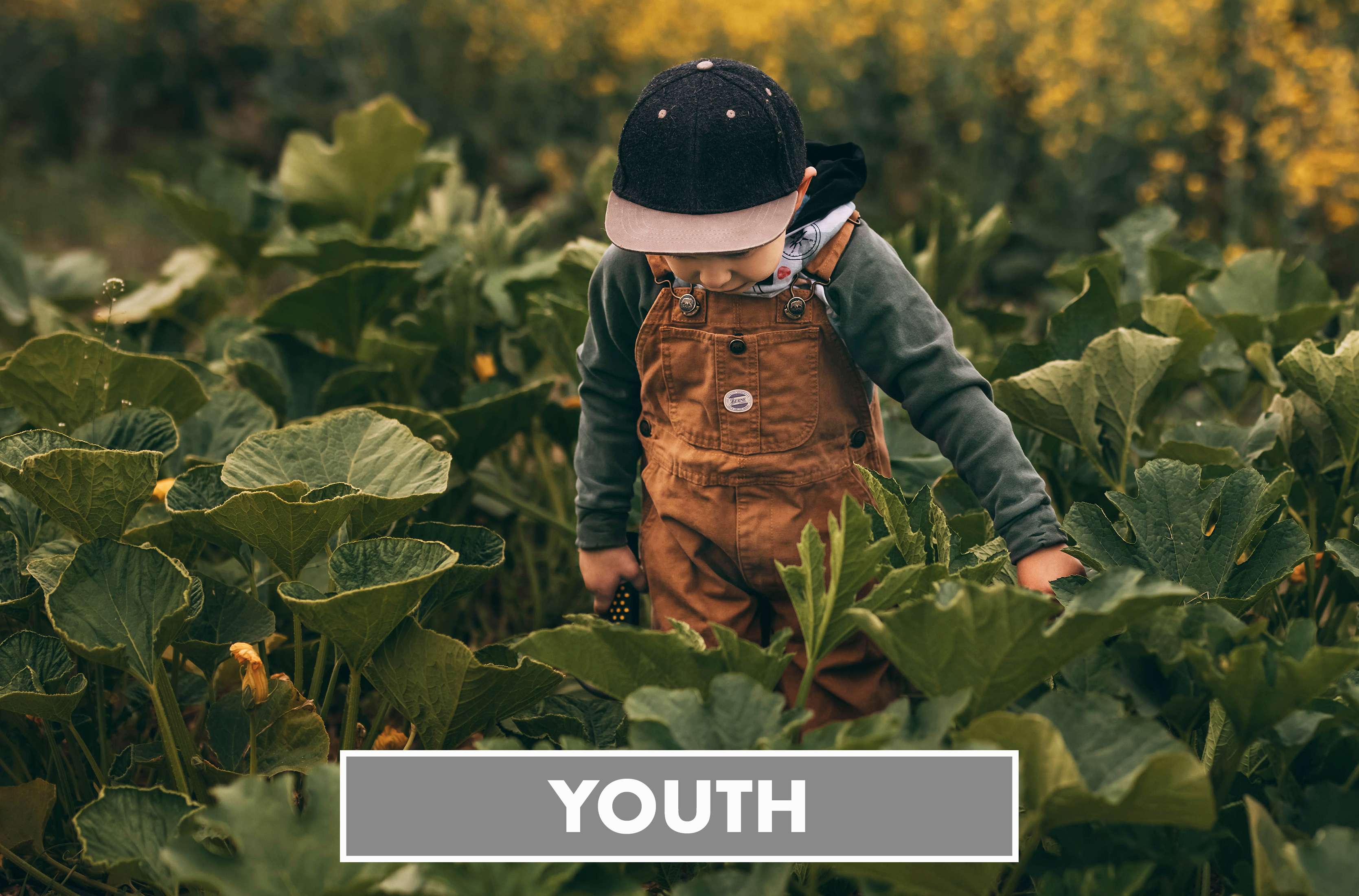 Youth