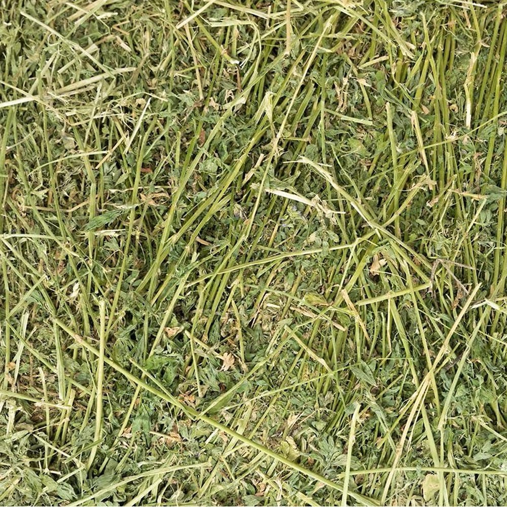 BM Hay Company Alfalfa Hay Small Pet Food, 8-lb box