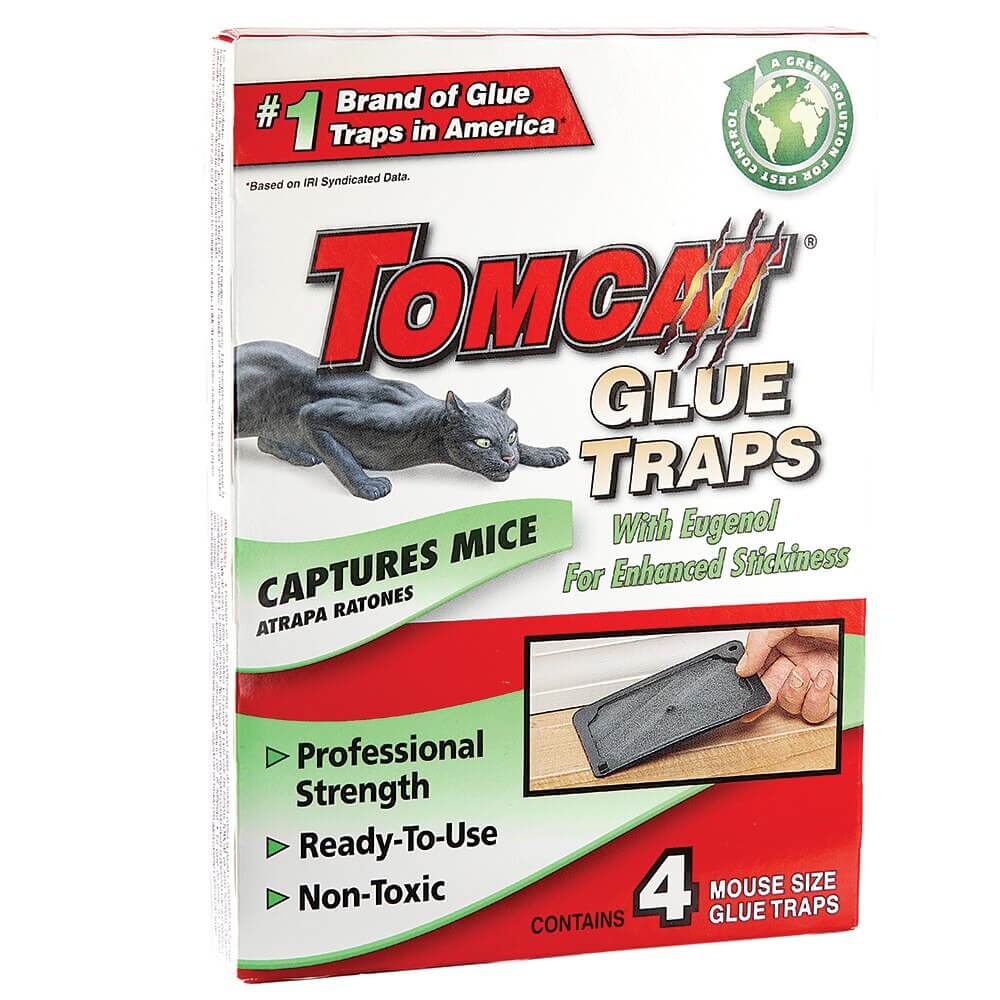 Tomcat Glue Traps, 4-Count