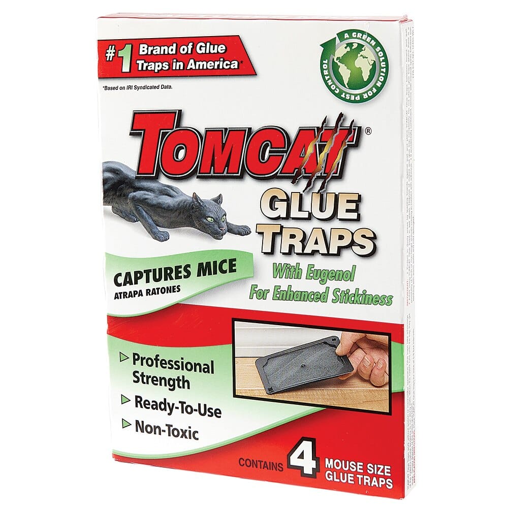 Tomcat Glue Traps, 4-Count