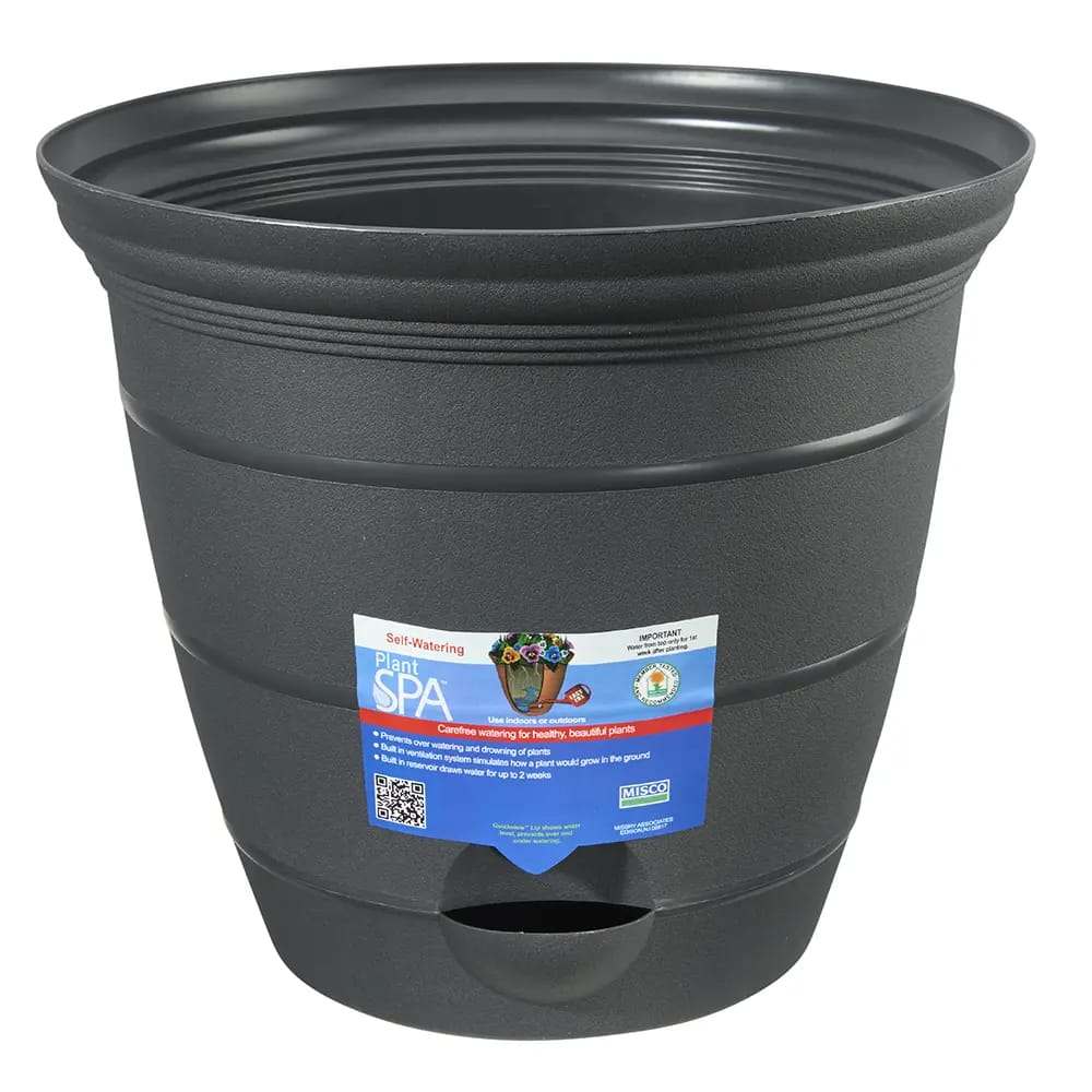 Plant Spa Self Watering Planter, Charcoal, 12"