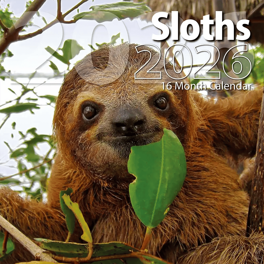 2026 Sloths Themed 16 Month Wall Calendar, 12"