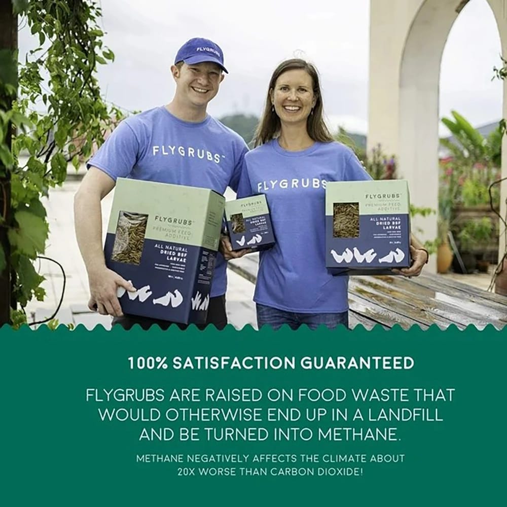 FLYGRUBS 20 lb Premium Feed Additive