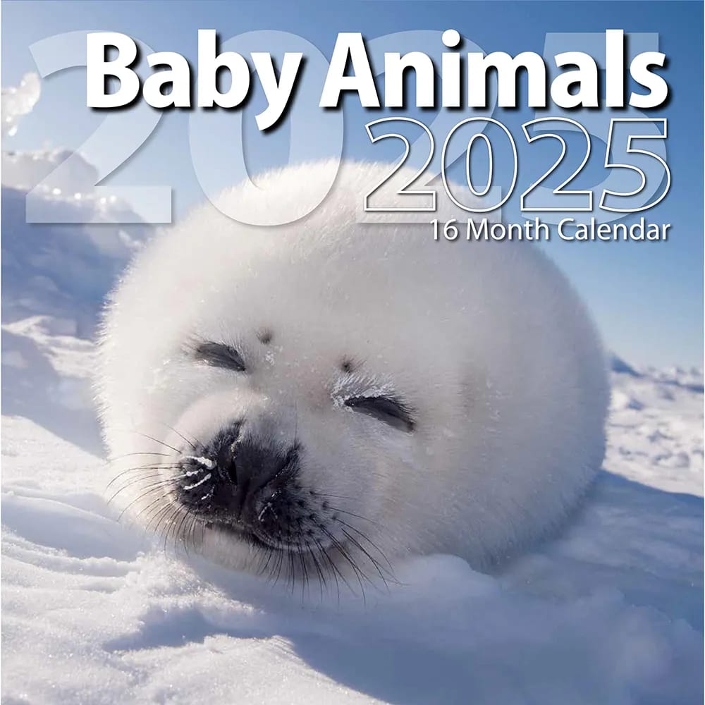 2025 Baby Animals Themed 16 Month Wall Calendar, 12"