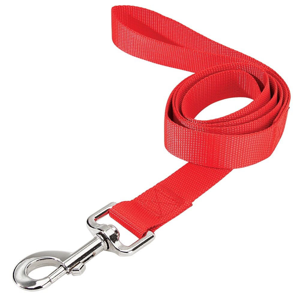 Pet Leader 1" x 4' Pet Leash in Red