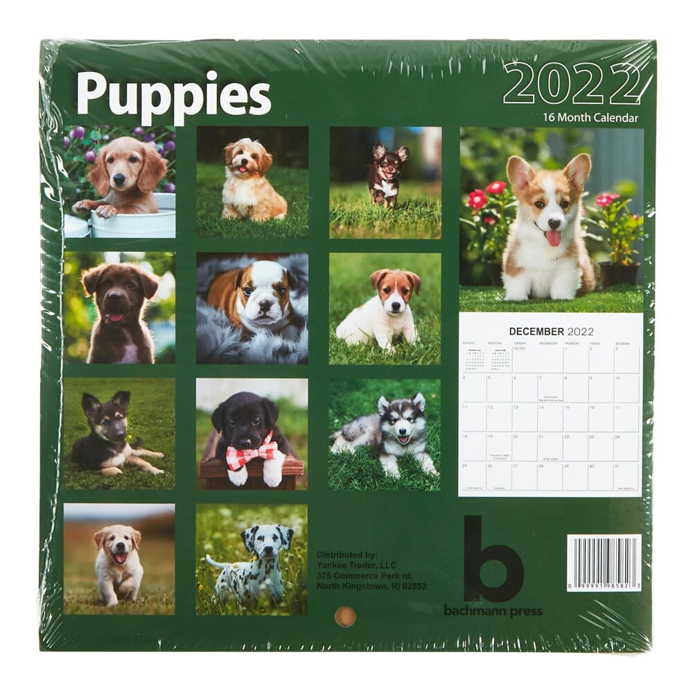 2022 Puppies Themed 16-Month Wall Calendar, 6" x 6"