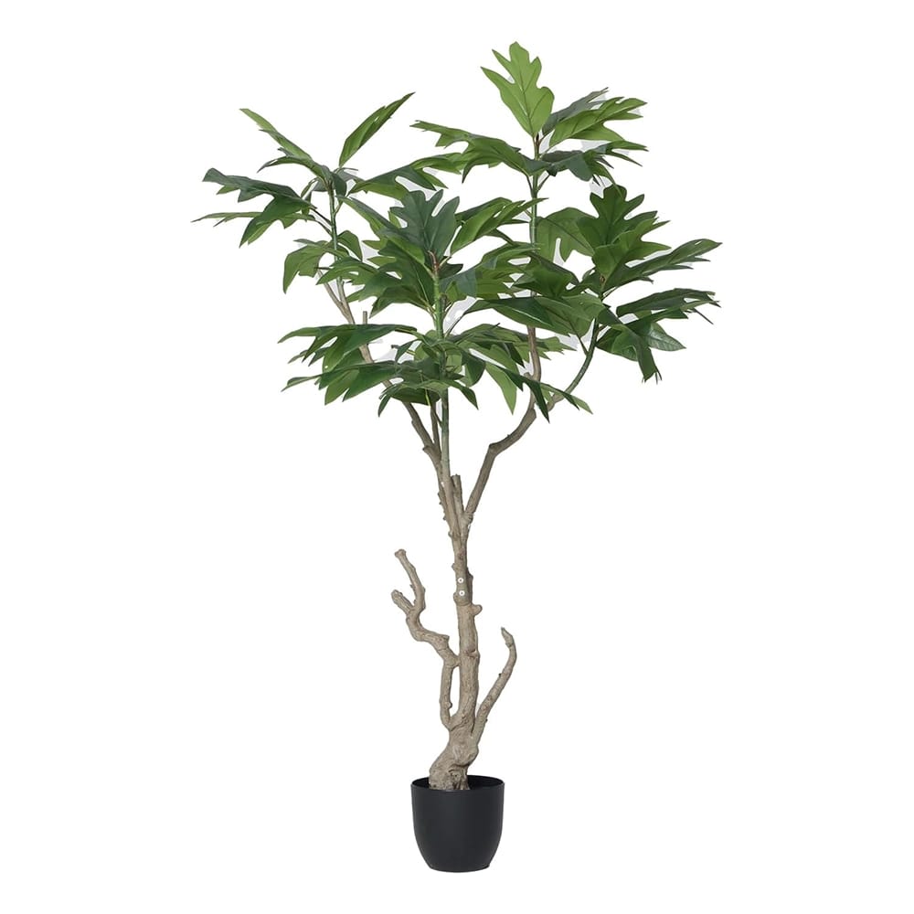Vintage Home 70" Fiddle Tree in a Black Pot