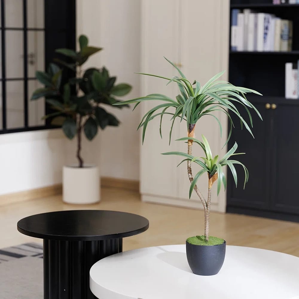 Vintage Home 26" Dracaena Tree in Planter, 2 Pack