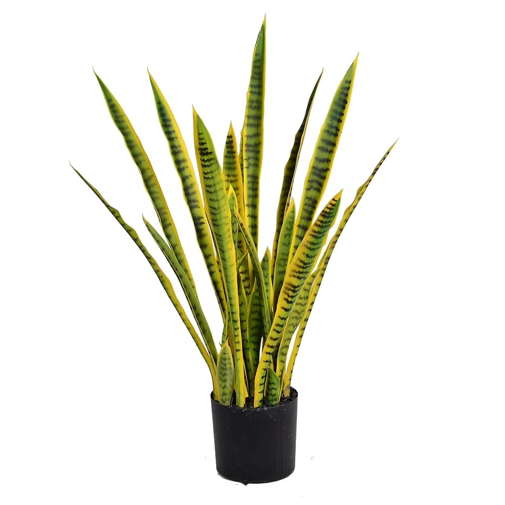 Vintage Home 35" Tall Sansevieria Snake Plant