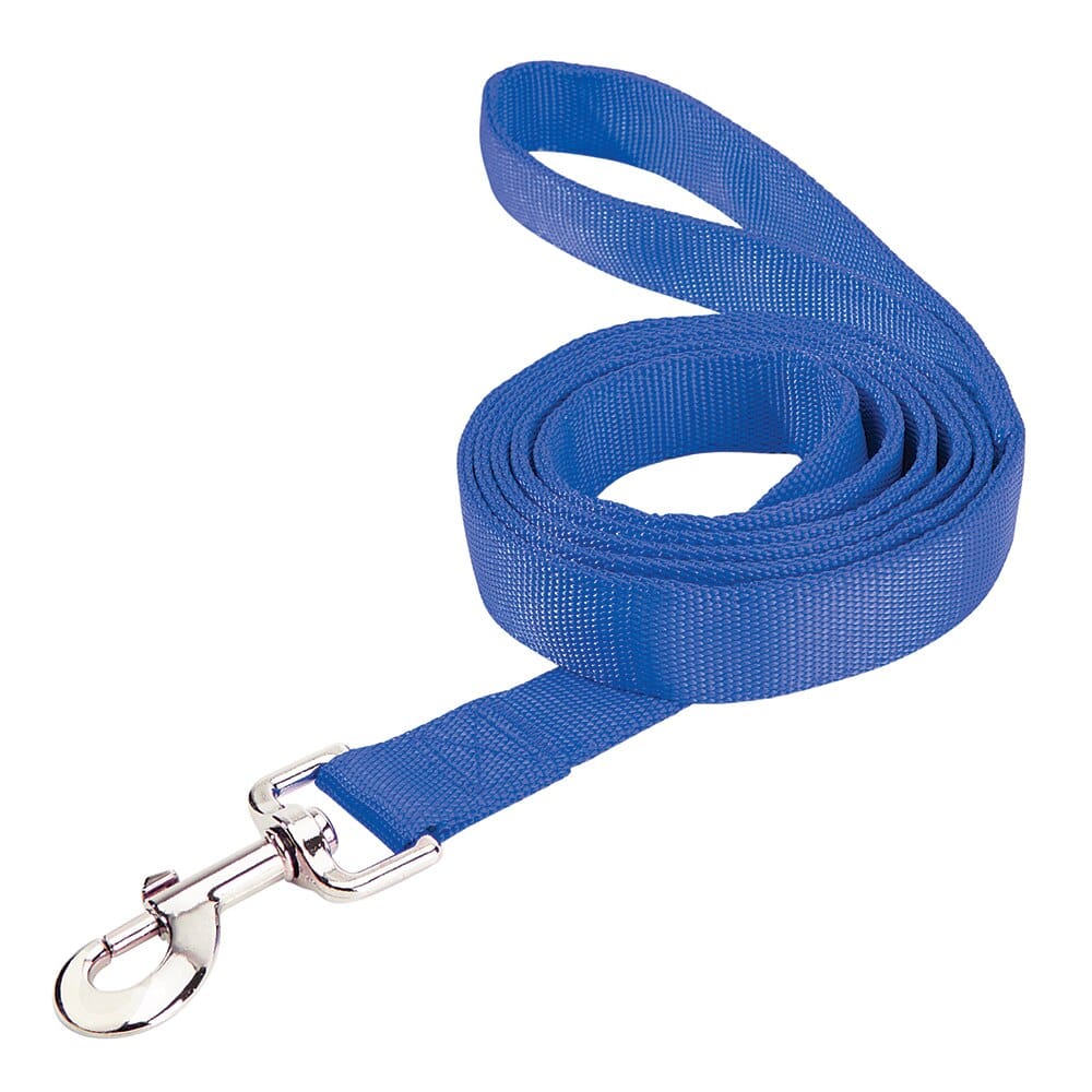 Pet Leader 1" x 6' Pet Leash, Blue