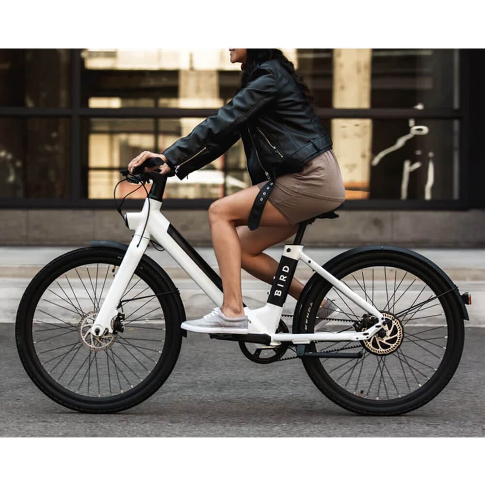 BirdBike V-Frame eBike, Glacier White