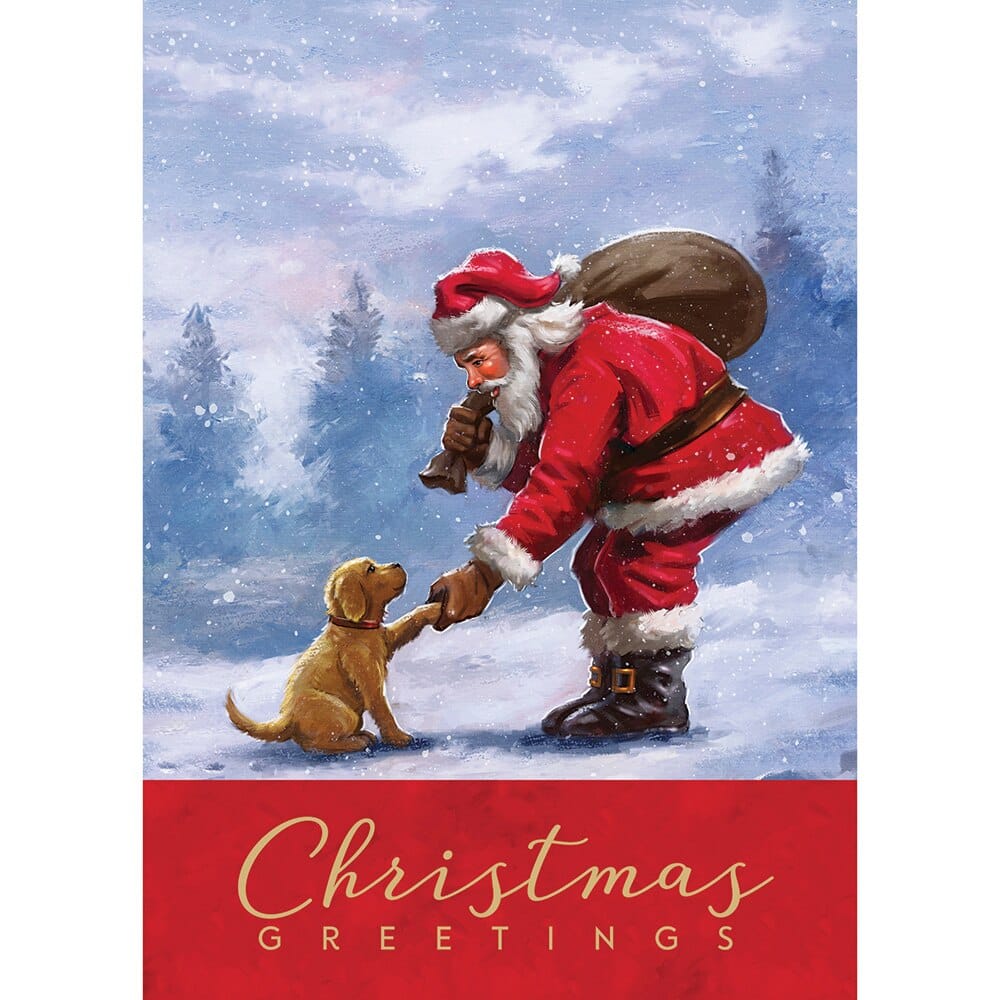 Love of Pets Christmas Gift Cards, 18-Pack