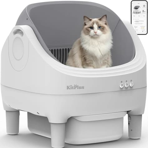 Main product image