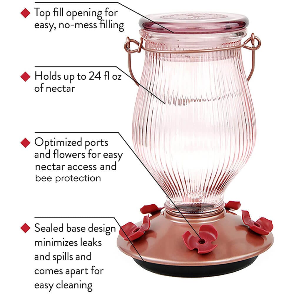 Perky Pet Top Fill Glass Hummingbird Feeder, 24 oz