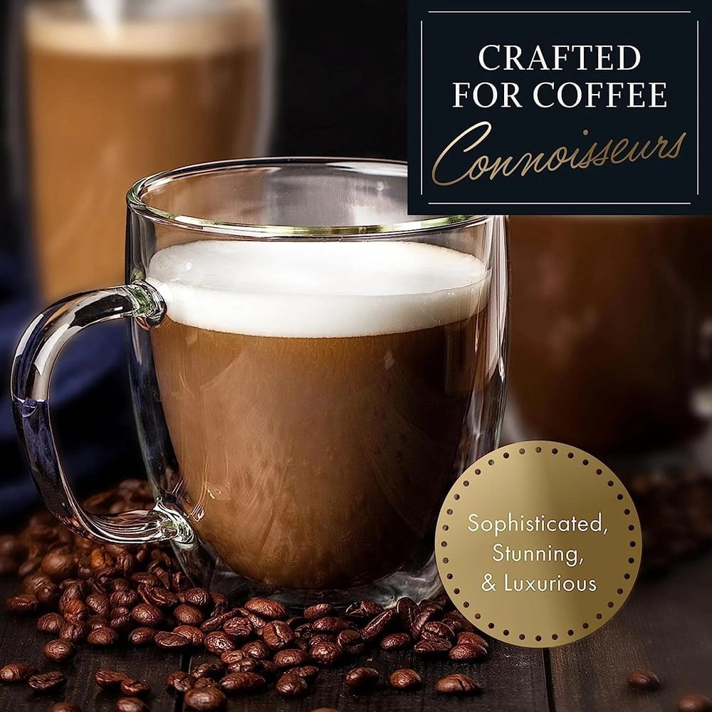 Elixir Glassware 16 oz Insulated Glass Mug