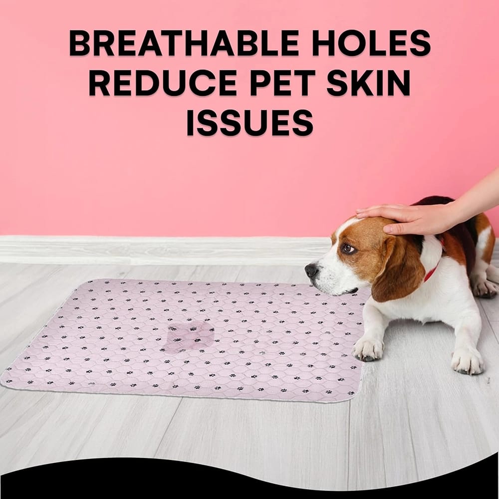 Black Rhino Washable Puppy Pads, 2 Pack