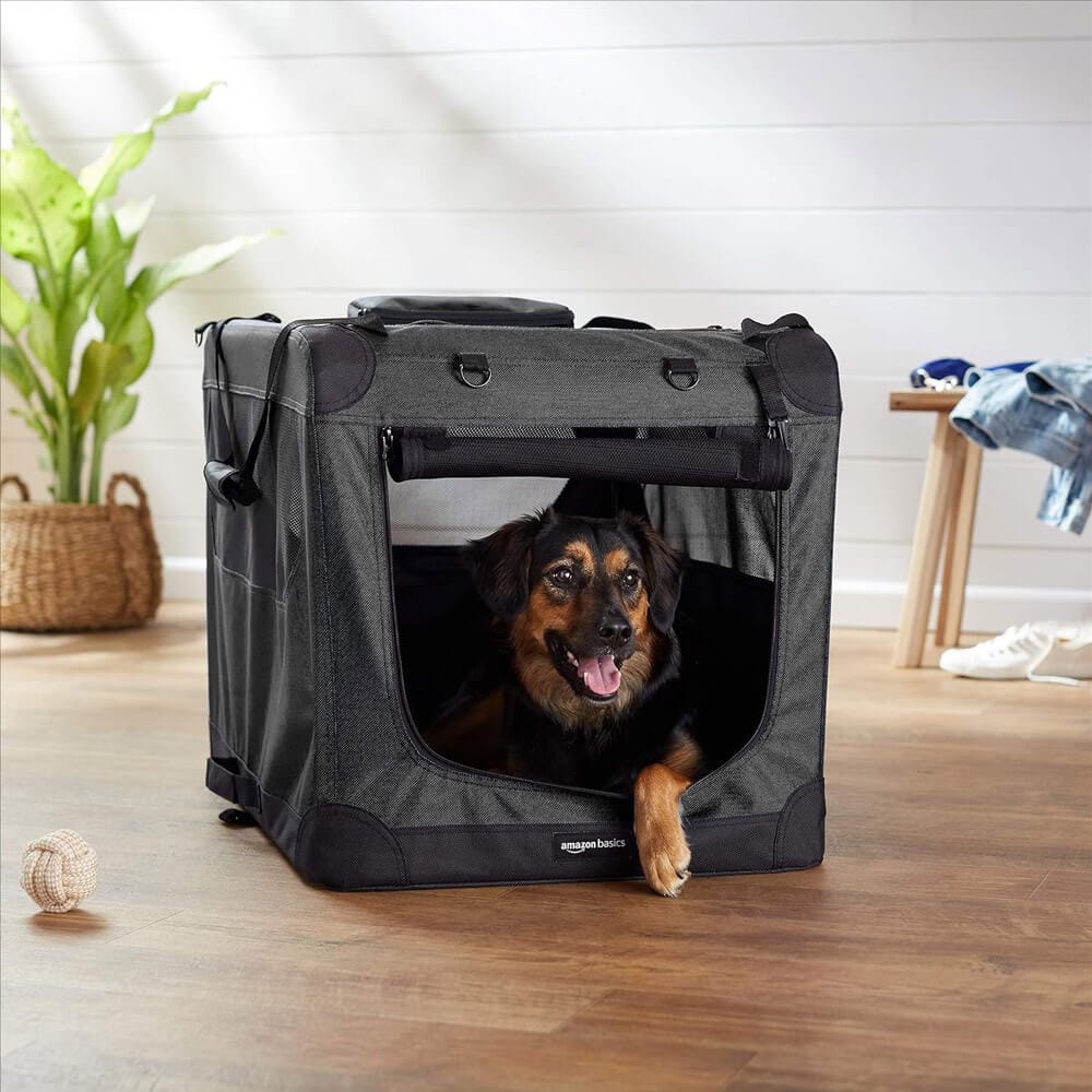 Foldable Soft-Sided Pet Carrier, 36" x 24" x 24", Black