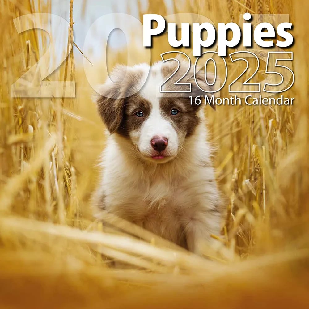 2025 Puppies Themed 16 Month Wall Calendar, 12"