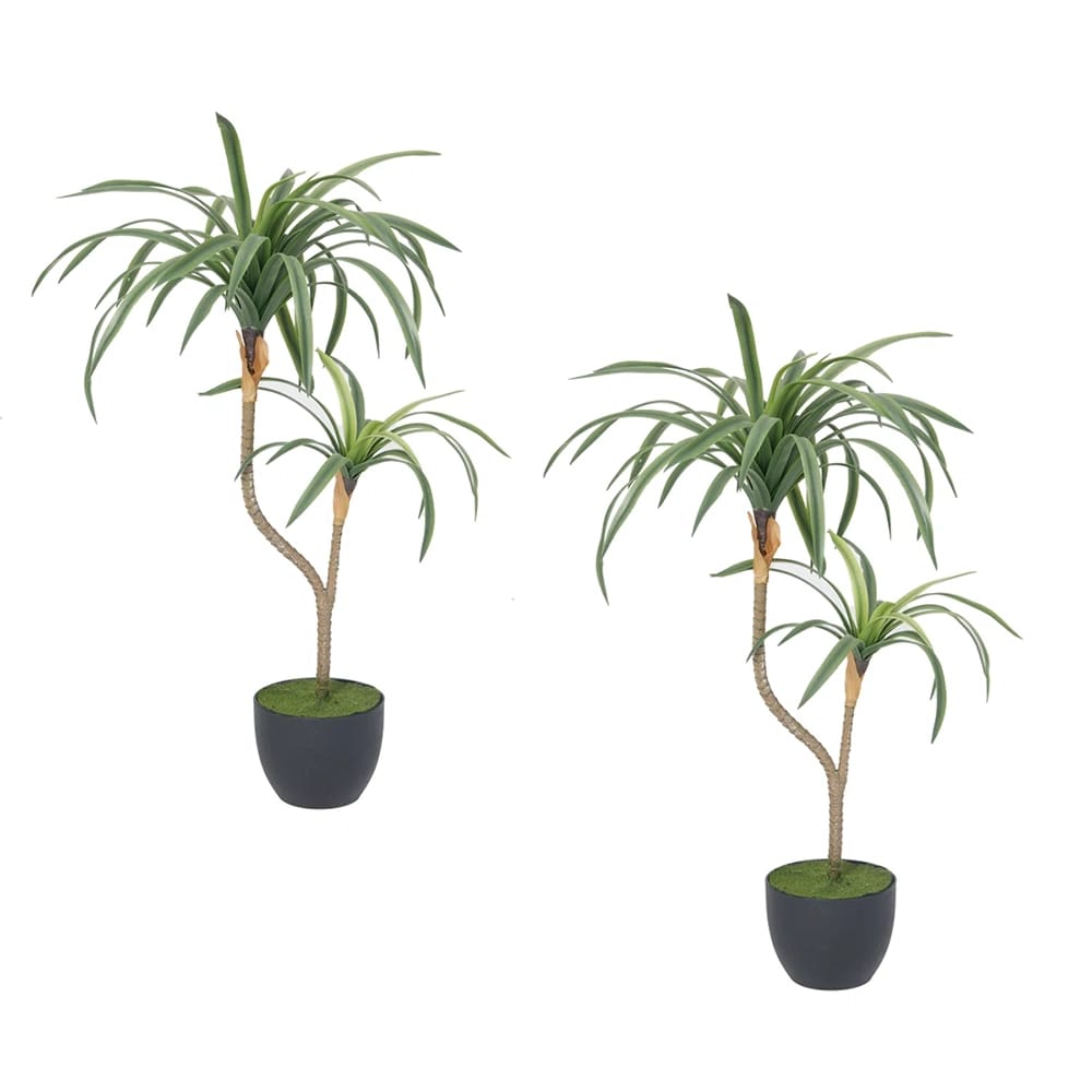 Vintage Home 26" Dracaena Tree in Planter, 2 Pack