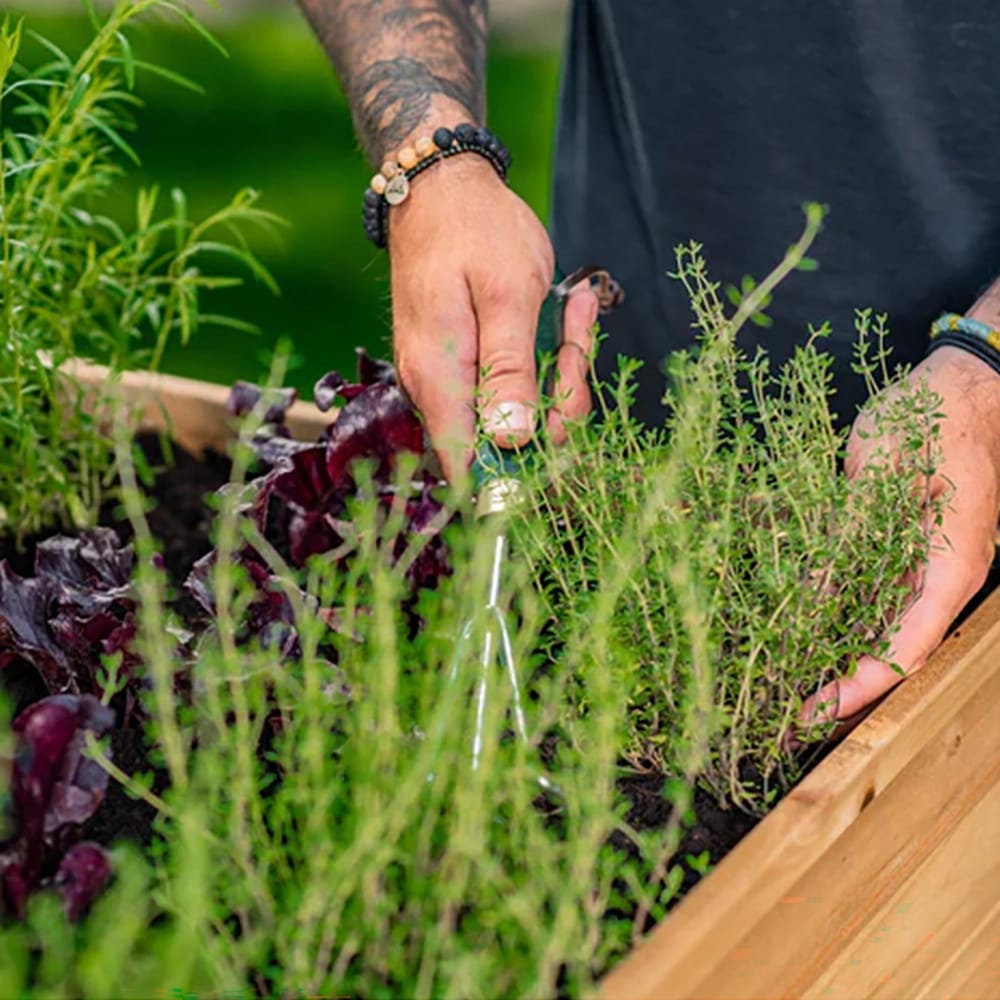 Vita Mezza Herb Farm