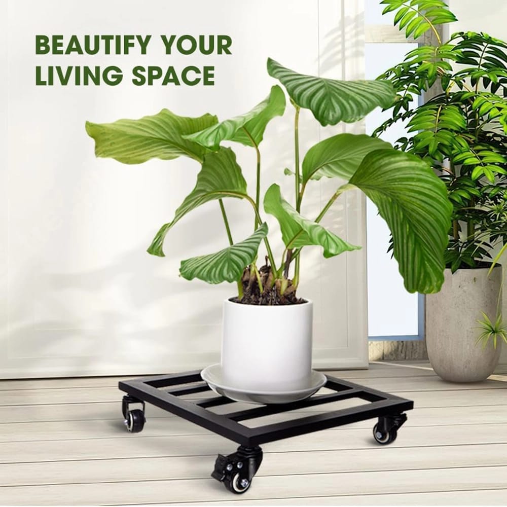 Idzo Heavy Duty Plant Caddy with Wheels, Black, 12"