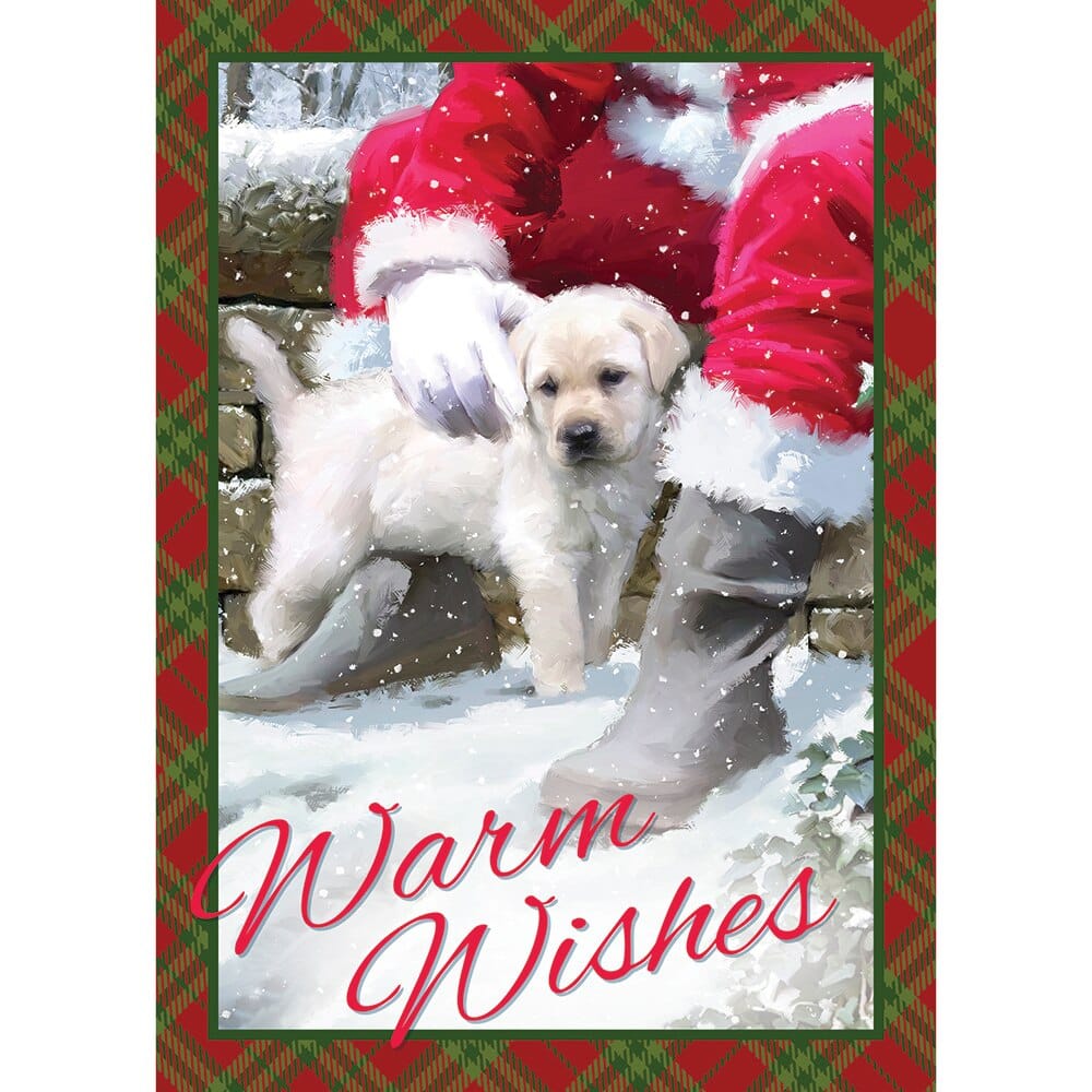 Love of Pets Christmas Gift Cards, 18-Pack