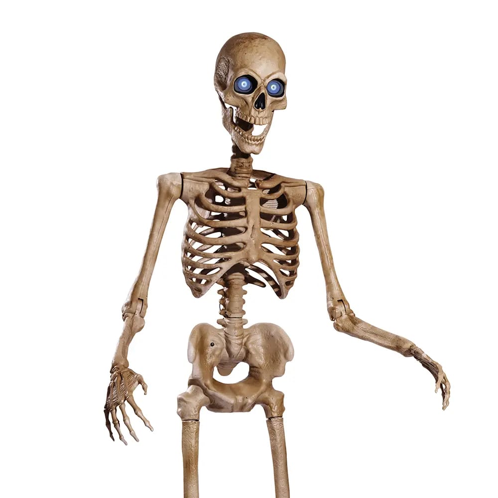 Skully the 8ft. Animatronic Skeleton