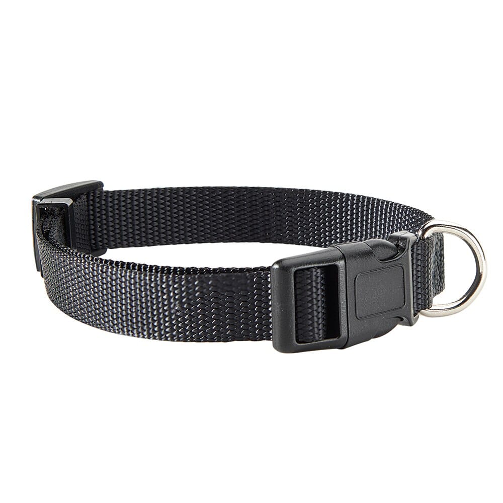 Pet Leader 5/8" Adjustable Pet Collar in Black