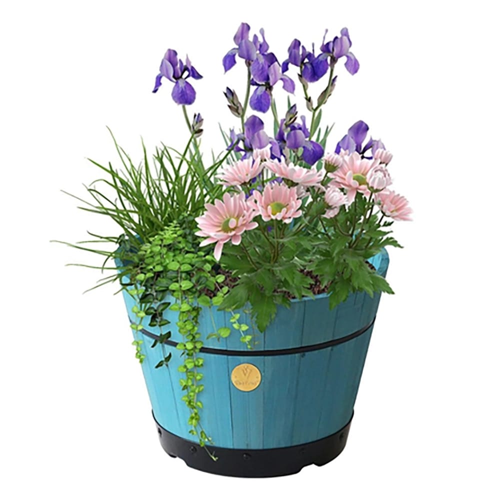 VegTrug Powder Blue Whisky Barrel Planter, 18in.