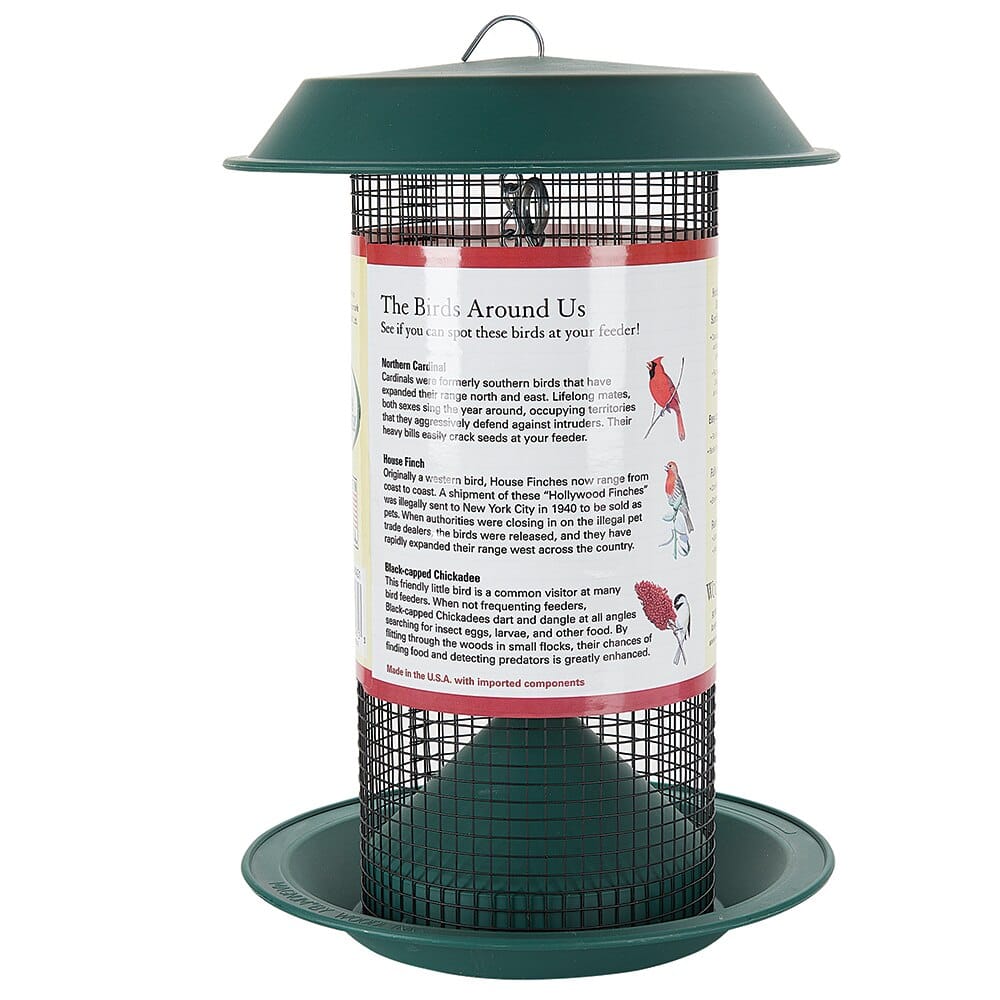 WoodLink Magnum Black Oil Sunflower Bird Feeder