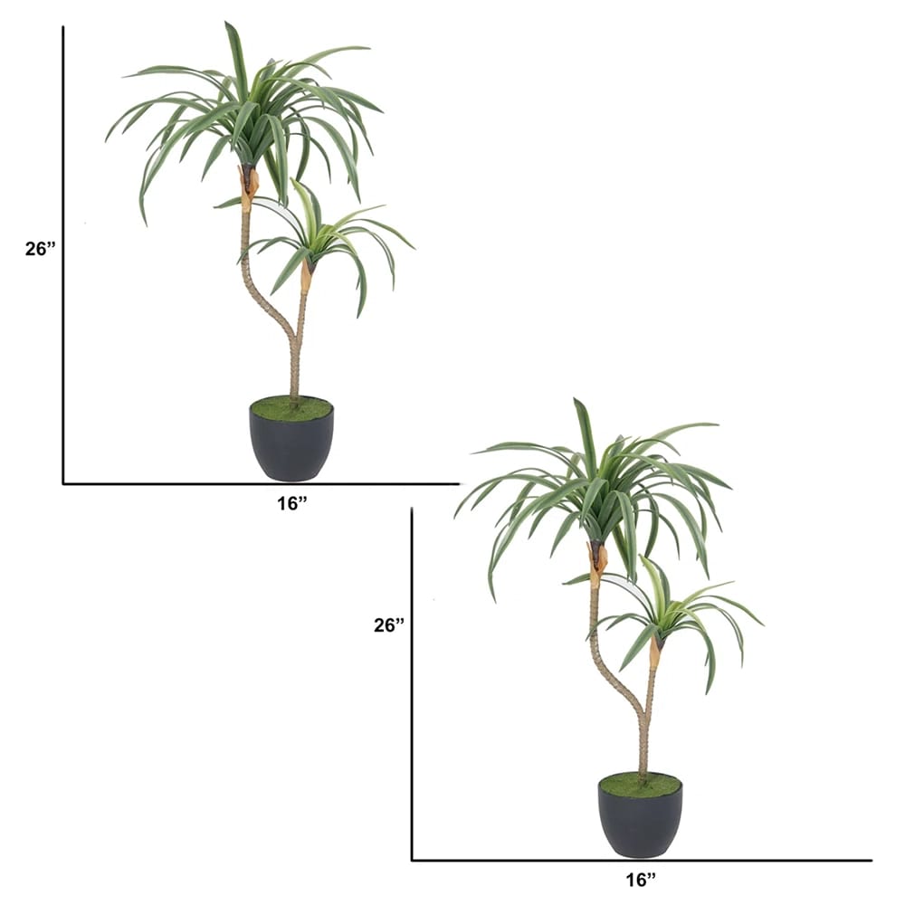 Vintage Home 26" Dracaena Tree in Planter, 2 Pack