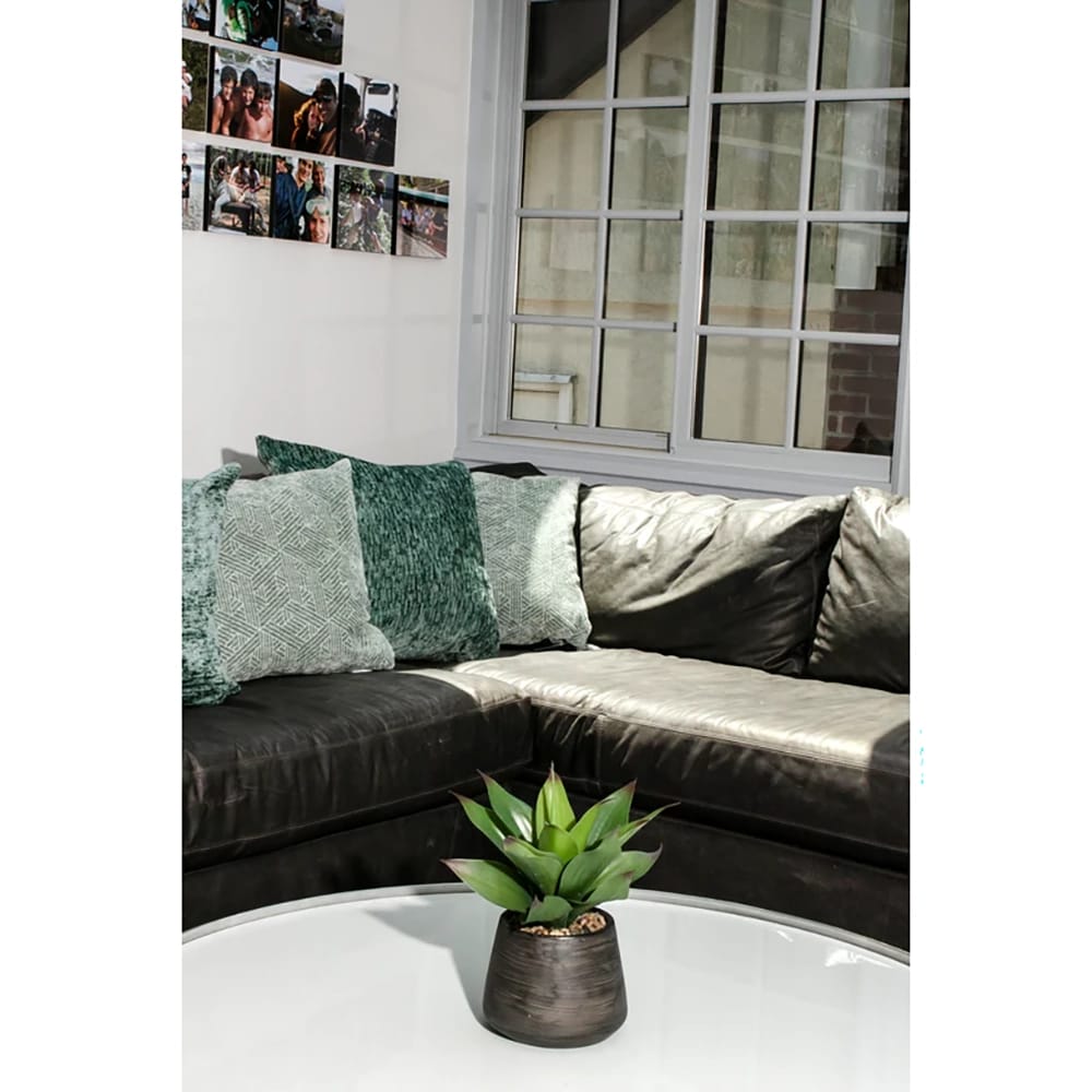 Vintage Home 16" Agave Plant in Cement Vase, 2 Pack