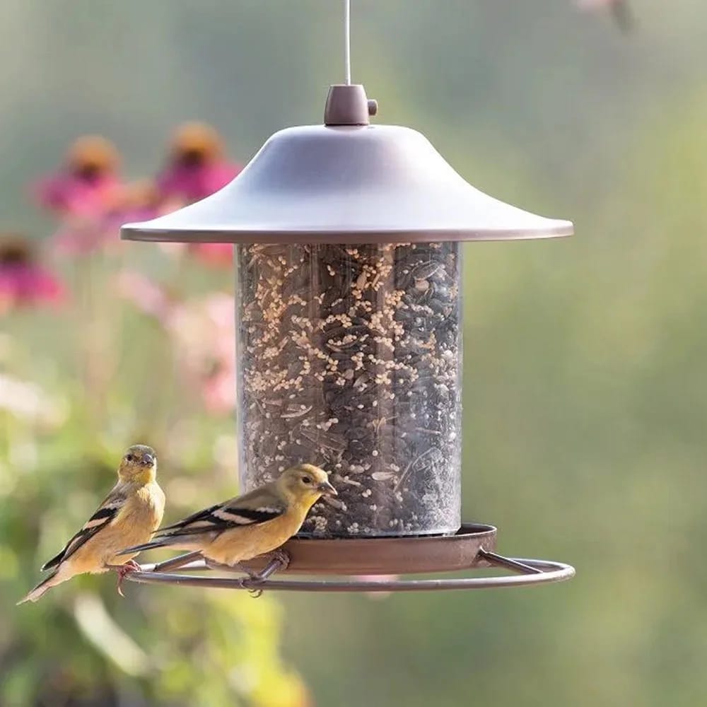 Perky Pet Panorama Wild Bird Feeder