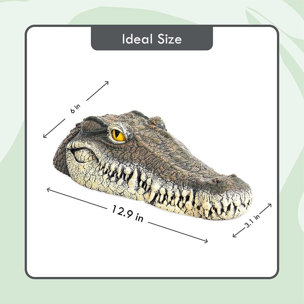 Floating Crocodile Head