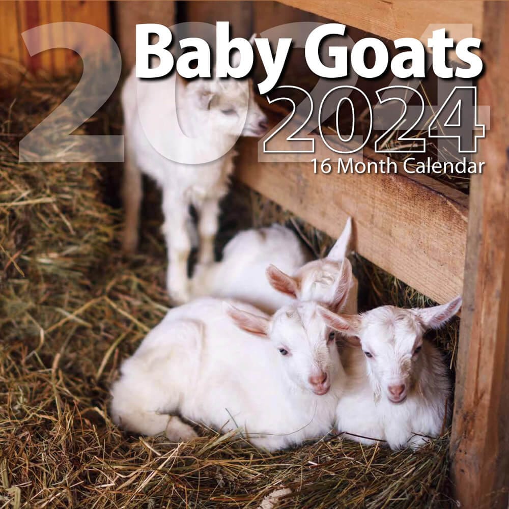 2024 Baby Goats Themed 16 Month Wall Calendar, 12"