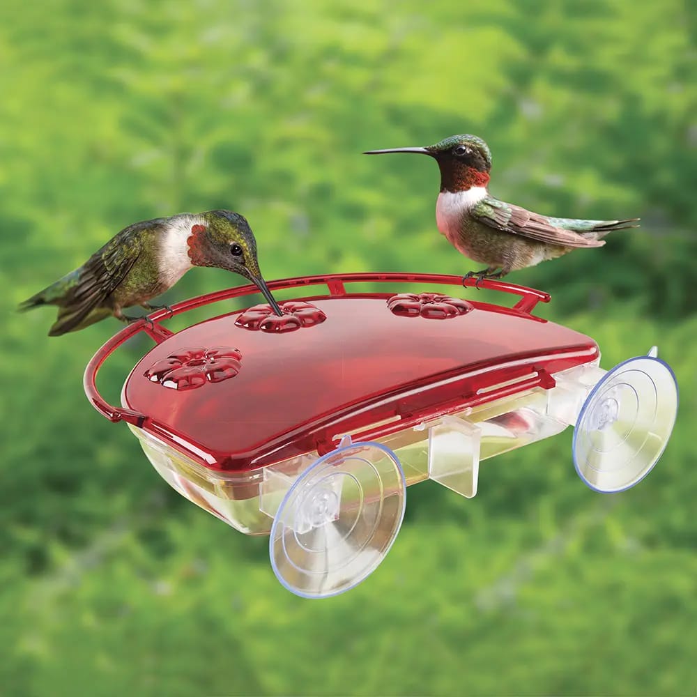 Yankee Trader Window Mount Hummingbird Feeder, 13.5 oz