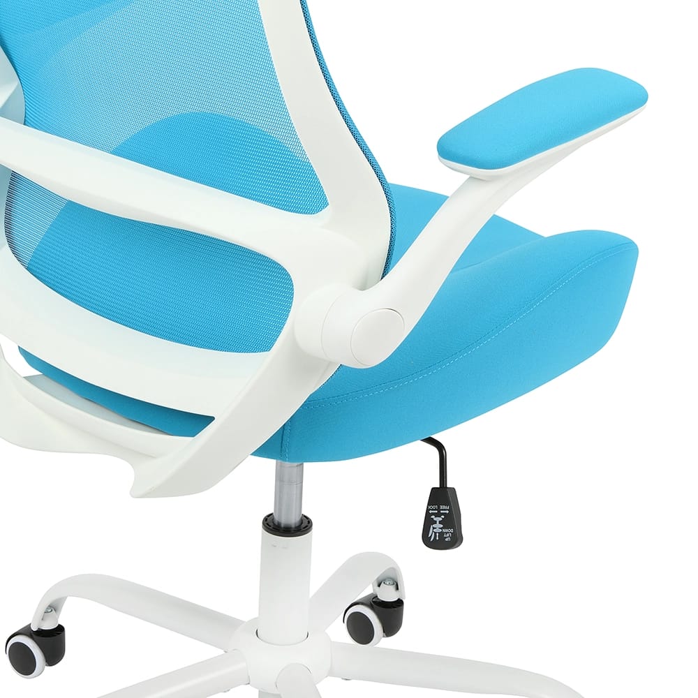 HYLONE Ergonomic Desk Chair with Flip up Armrests, Blue