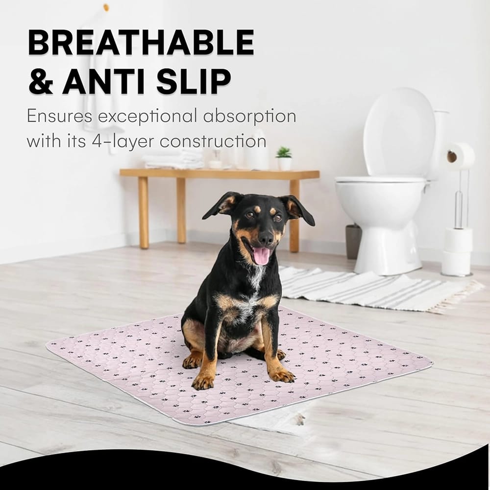 Black Rhino Washable Puppy Pads, 2 Pack