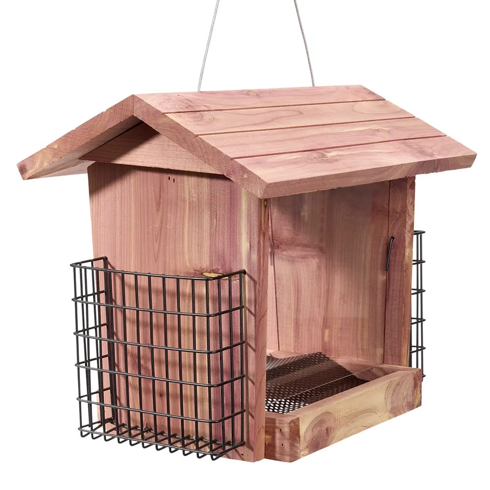 Yankee Trader Chalet Feeder with Twin Suet Cages